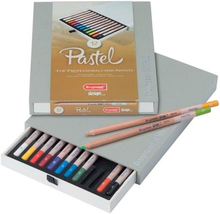 Pastellpennor Bruynzeel Design Fall 12 Delar Multicolour
