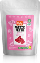 Pol's Freeze Fresh Himbeere Fruchtchips (Big Pack)