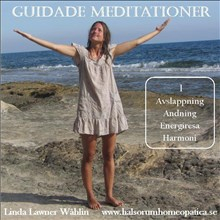 Guidade Meditationer 1