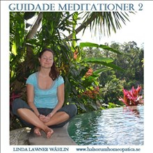 Guidade Meditationer 2
