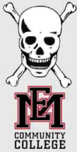 East Mississippi Community College Skull and Logo Men's T-Shirt - Grey - S