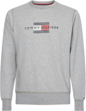 Tommy Hilfiger Line Logo Sweatshirt Grey