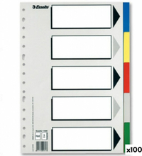 Separatorer Esselte 5 ark Multicolour Din A4