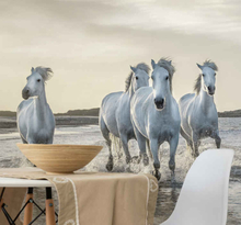 Rennende witte paarden over strand fotobehang