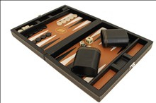 Backgammon, Magnetisk spelplan