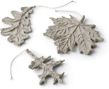 Sustain Set Of Leaves Home Decoration Christmas Decoration Christmas Baubles & Tree Accessories Grå Nordstjerne*Betinget Tilbud