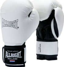 Allright BOXING GLOVES LIMITED EDITION 12oz universal