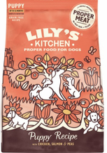 Lily's Kitchen Puppy Recipe med kyckling & lax - 2,5 kg