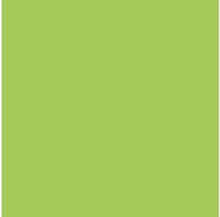 Mecha Color- Green Fluorescent 17 ml.