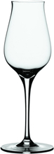 Authentis Digestive 17 Cl 4-P Home Tableware Glass Shot Glass Nude Spiegelau