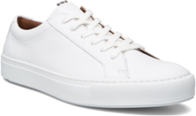 Abel Low-top Sneakers White Lloyd