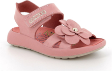 Ppm 58972 Shoes Summer Shoes Sandals Pink Primigi