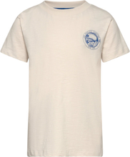 Pembroke Pines Tops T-Kortærmet Skjorte White TUMBLE 'N DRY