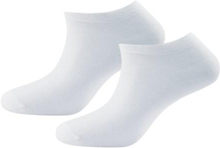 Devold Unisex Daily Shorty Sock 2PK - Merino Wool