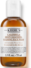 Kiehl's Calendula Calendula Deep Cleansing Foaming Face Wash 75