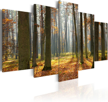 Billede - A nice forest landscape - 200 x 100 cm