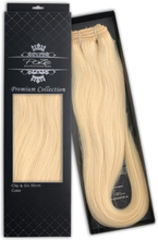 Poze Hairextensions Premium Collection Clip & Go 50 cm 12NA Plati