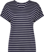 Women Merino Drayden Reversible Ss Top Stripe Sport T-shirts & Tops Short-sleeved Navy Icebreaker