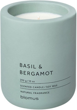 blomus Scented Candle Pine Gray Basil & Bergamot 290 g
