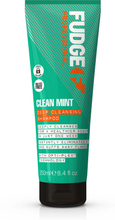 fudge Clean Mint Purifying Shampoo 250 ml