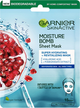 Garnier SkinActive Moisture Bomb Sheet Mask