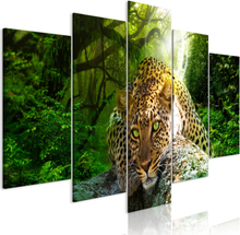 Billede - Leopard Lying (5 Dele) Wide Green - 200 x 100 cm