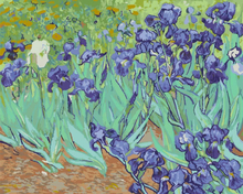 Malen nach Zahlen - Irises - Vincent van Gogh, ohne Rahmen