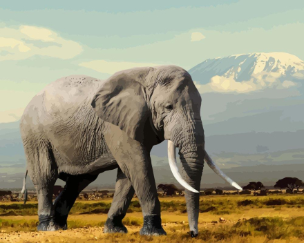 Malen nach Zahlen - Elefant in den Bergen, mit Rahmen
