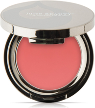 Juice Beauty Phyto Pigments Last Looks Cream Blush 02 Seashell