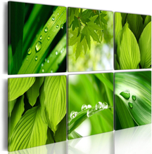 Billede - Fresh green leaves - 120 x 80 cm