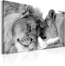 Billede - Lion's Love - 90 x 60 cm