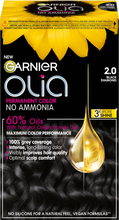 Garnier Olia Permanent Color 2.0 Black Diamond