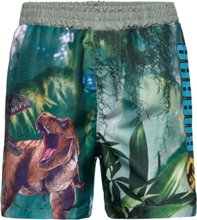 Swimming Shorts Badeshorts Multi/patterned Jurassic World