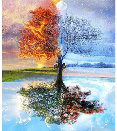 Baum, Jahreszeiten - Malen nach Zahlen, 40x50cm / Fertig bespannt / 36 Farben (Bestseller)