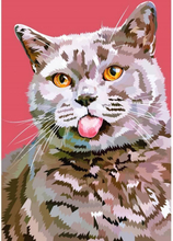 Malen nach Zahlen - Katze streckt Zunge heraus, 40x50cm / Ohne Rahmen / 24 Farben (Einfach)