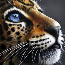 Malen nach Zahlen - Leopard Profil, 40x40cm / Ohne Rahmen / 24 Farben (Einfach)