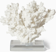Dekoration Korall modell 1