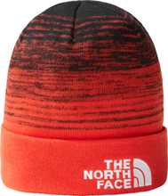 The North Face The North Face Dock Worker Recycled Beanie TNF BLACK/FIERY RED Mössor OneSize