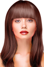 Party Wig Long Straight Brown Hair Paryk