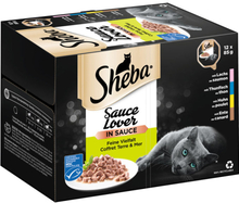 Sheba Katzenfutter Sauce Lover Feine Vielfalt, 12er Pack