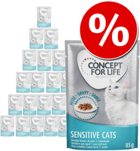 Sparpaket Concept for Life 48 x 85 g - All Cats 10+ in Gelee             