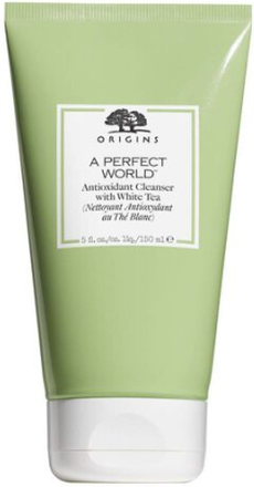 A Perfect World(TM) Antioxidant cleanser with White Tea