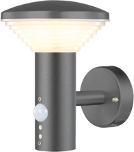 Luxform LED hagevegglampe med PIR-sensor Bitburg 230 V LUX1704Z