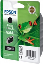 Epson Epson T0541 Inktpatroon zwart foto T0541 Replace: N/A
