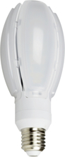 NASC LED Oval Gårdslampa 24W E27 4000K
