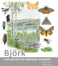 Björk - Svart På Vitt Om Myllrande Mångfald