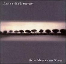 McMurtry James: Saint Mary Of The Woods