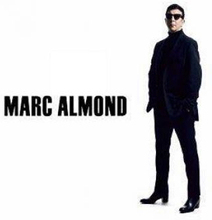 Almond Marc: Shadows And Reflections