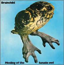 Brainchild: Healing Of The Lunatic Owl