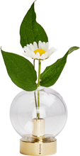 Klong - Orbis vase glass/messing 8x7 cm